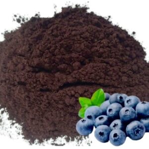Порошок з чорниці