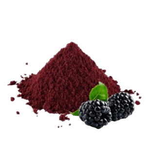 Порошок з ожини