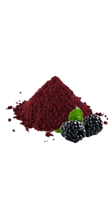 Порошок з ожини