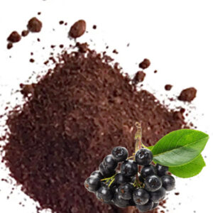 Порошок з аронії