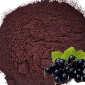 Порошок з чорної смородини