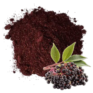Порошок з бузини