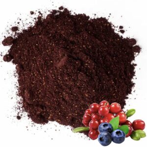 Мікс порошку брусниці та чорниці